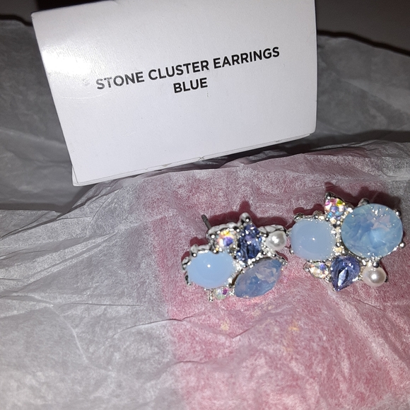 Avon Blue Stone Cluster Stud Earrings with Silvertone posts - Picture 3 of 4